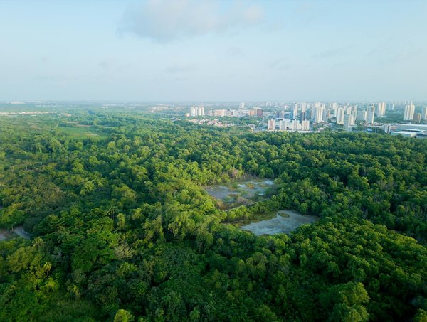 Les actualités logistiques incontournables en france et en europe